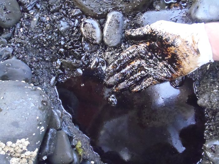 Arctic soils carbon vulnerability